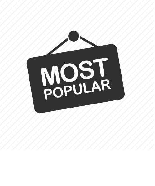 Most Popular category
